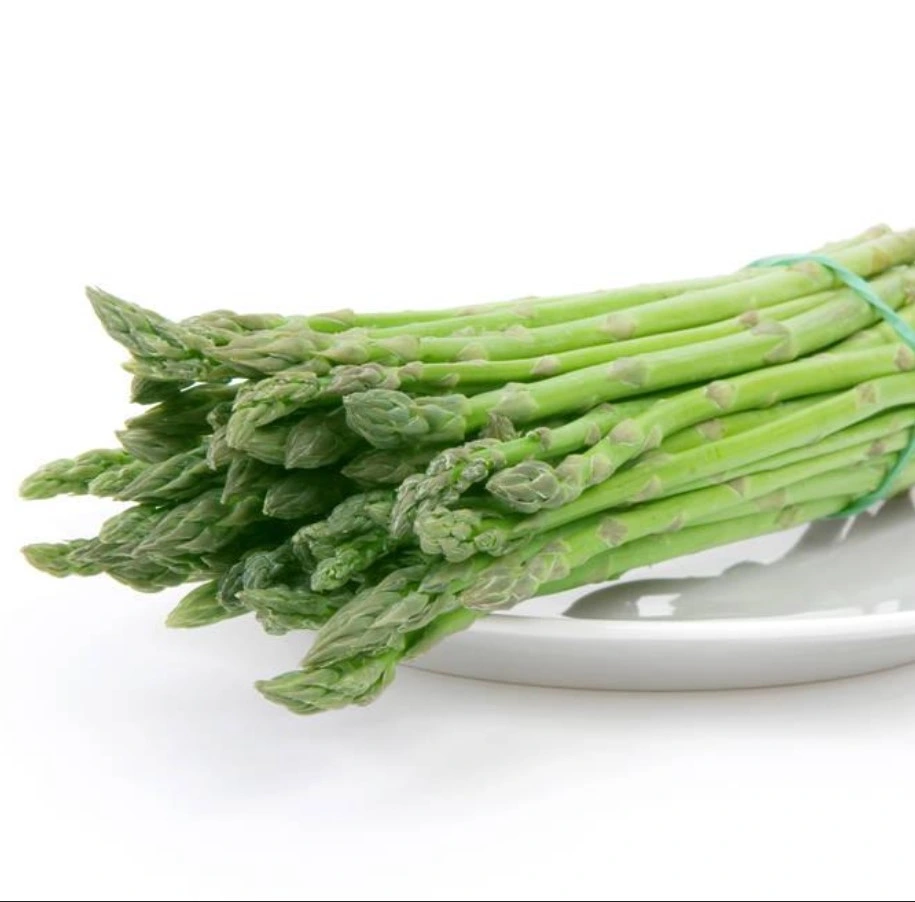 Asparagus Officinalis Beads Green Asparagus Frozen Green Asparagus