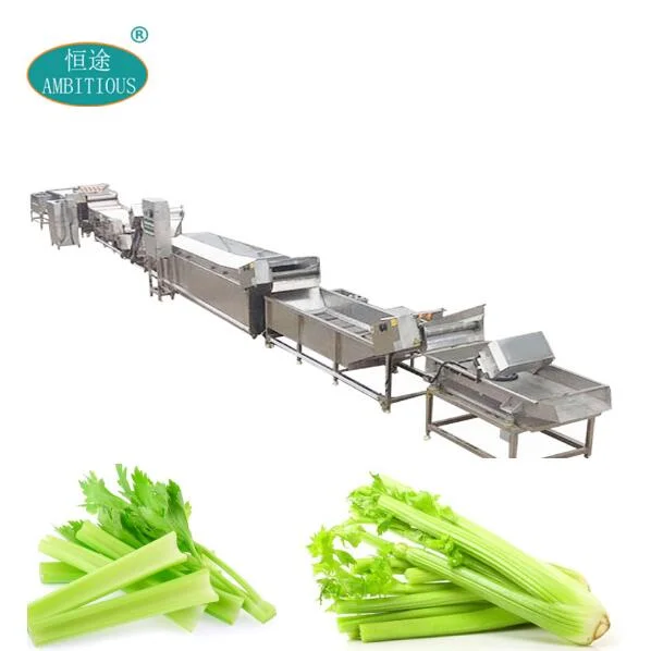 Celery Washing Line Celery Processing Machine