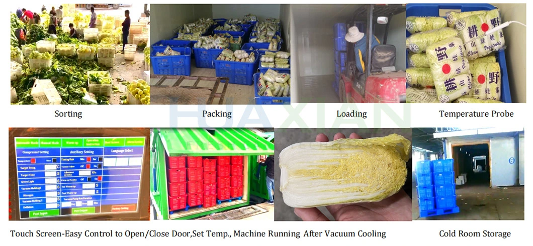 6 Pallet Wider Vacuum Chamber Remove Lettuce Heat in 15 Minutes R134A Refrigerant Cooler Machine