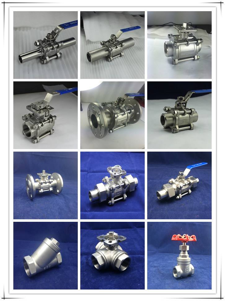 Stainless Steel Swing Check Valve with NPT Thread (H14W)
