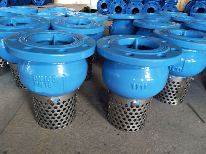 China Flanged Type Foot Valve