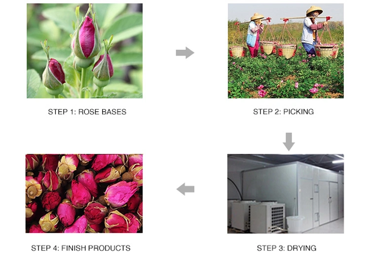 Wholesale Healthy Benefits Dried Globe Amaranth Flower Tea