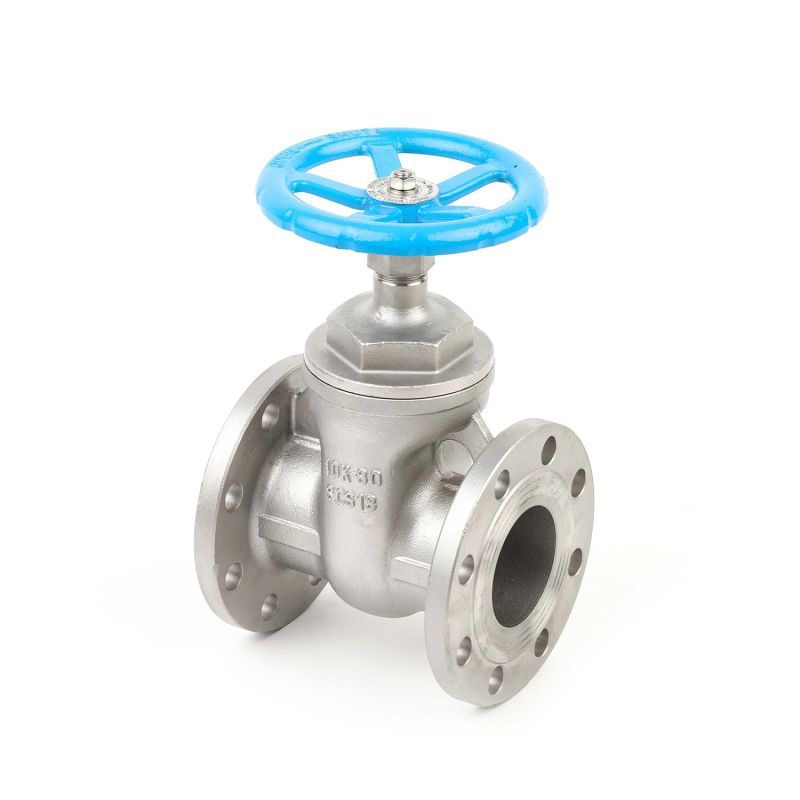 JIS 10K Stainless Steel Non-Rising Gate Valve with Screwed Bonnet Scs13