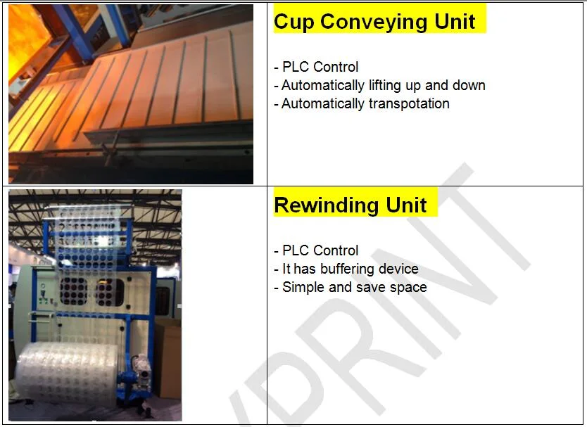 High Transparent Disposable PP PS Pet Turn-up Cup Fruit Container Box Forming Making Machine