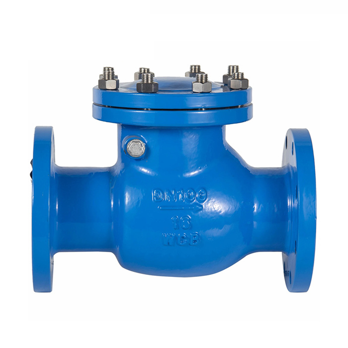 Ductile Iron Double Flange Ball Type Check Valve