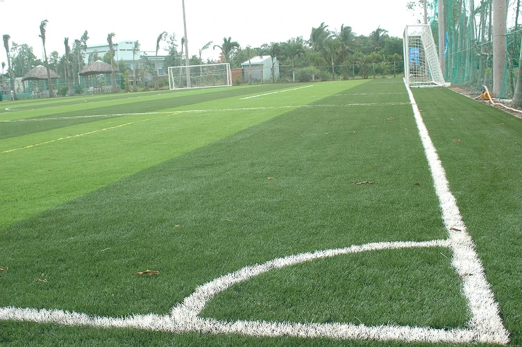 High Quality Soccer Field Artificial Grass Synthrtic Turf (STO)