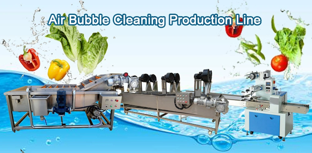 Manufacturer Supply Fruit Vegetable Washing Grading Machine