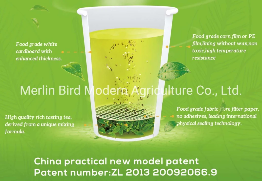 Merlin Bird Patent Product Organic Natural Green Tea Sealed in Cup