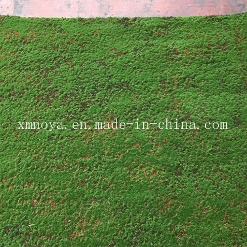 Artificial Grass / Moss for Kindergarten, Backyard, Park, Public Area Landscaping