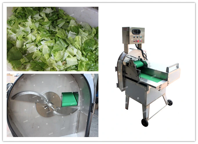 Automatic Cabbage Salad Line Cabbage Washing Line Cabbage Cutting Machine