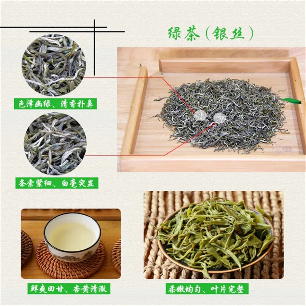Wholesale High Moutain Organic Zhuyuan Green Tea Chinese Tea