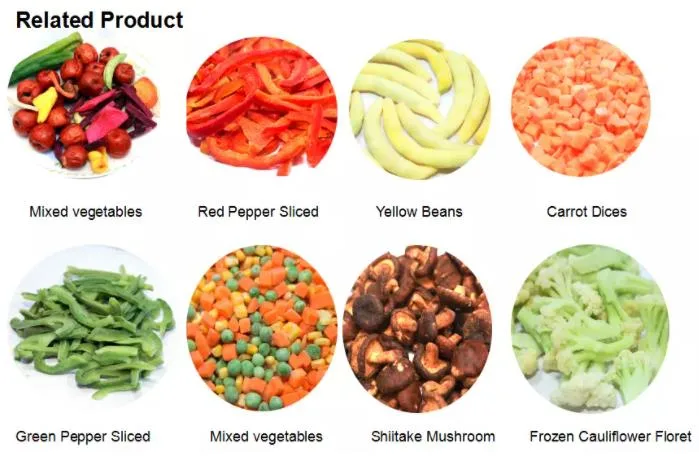 New Crop Premium Quality IQF Frozen Cauliflower with Good Prices Frozen Vegetables Cauliflower