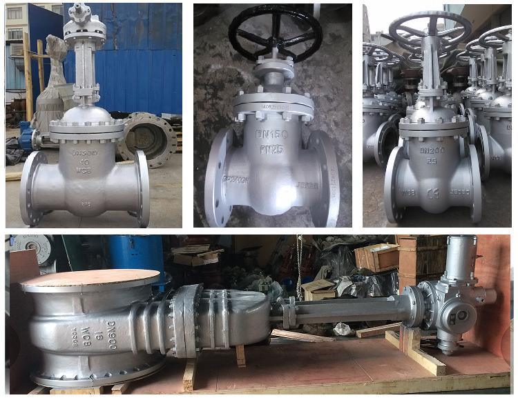 API DIN Steel/Stainless Steel Gate / Globe/ Check / Ball Valve