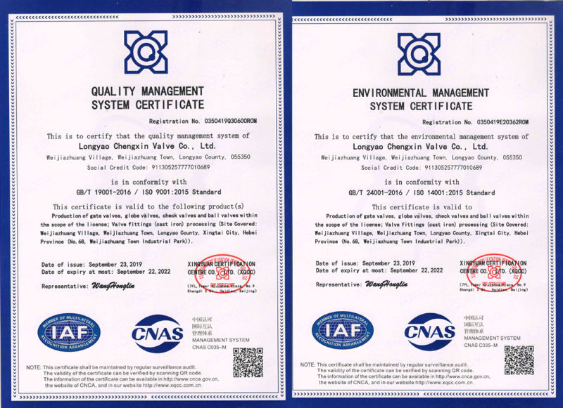 ANSI SS304 Stainless Steel 150/300/600/1200lb CF8m Gate Valve API Check Valve Industrial Valve Nrv Water Valve