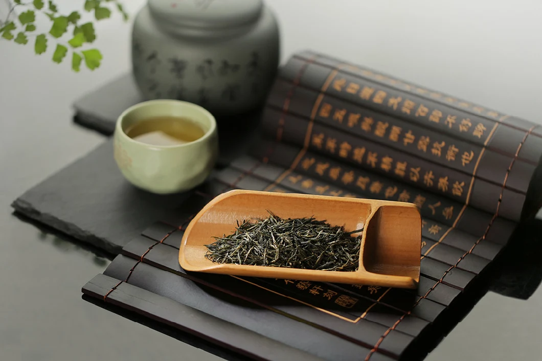 Best Chinese Green Tea Guzhang Maojian