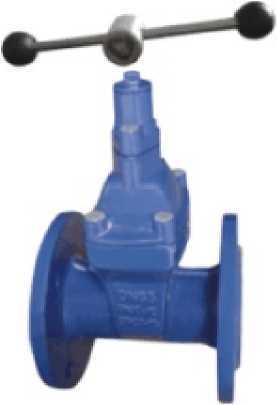 Resilient Gate Valves with Mechanical Lock