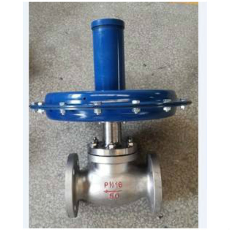 Self-Operated Control Valve/Pneumatic Control Valve