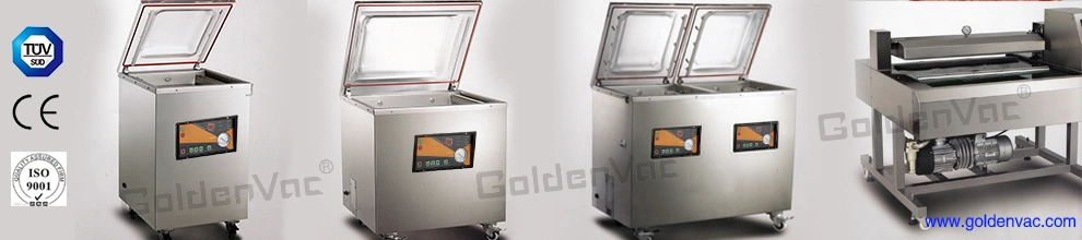 Vacuum Machine for Food, Food Vacuum Sealer Machine, Vacuum Package Machine (DZ-600/2G) 