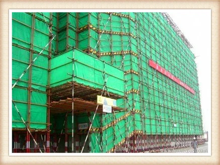 PE Construction Safety Net/Building Safety Net/Green Scaffolding Net