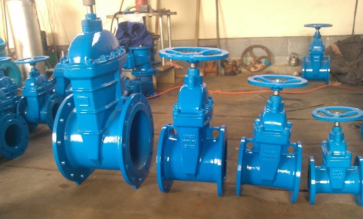 10 Inch API 6A Expanding Gate Valve