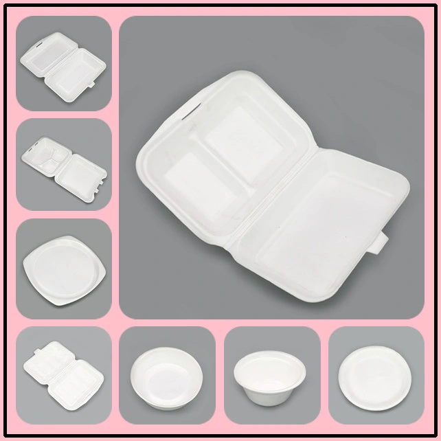 Ce Standard Auto PS Foaming Disposable Food Container Making Machinery