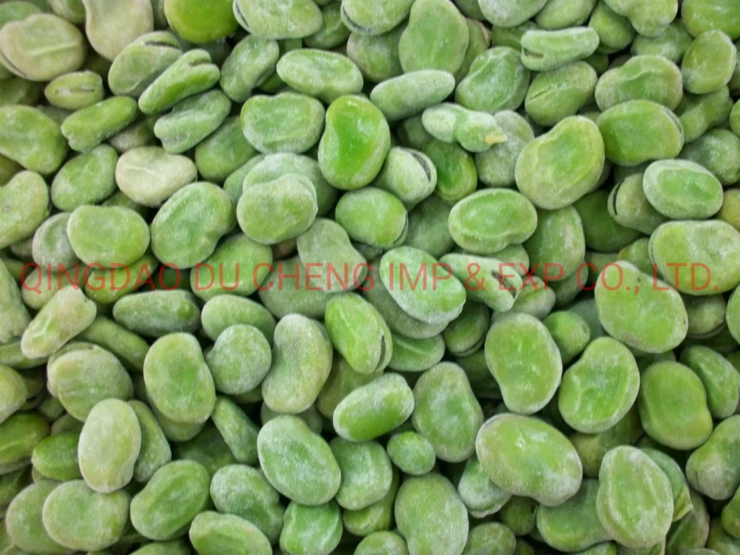 Dry Fava Beans, Dry Yellow Broad Beans, Frozen Green Broad Bean