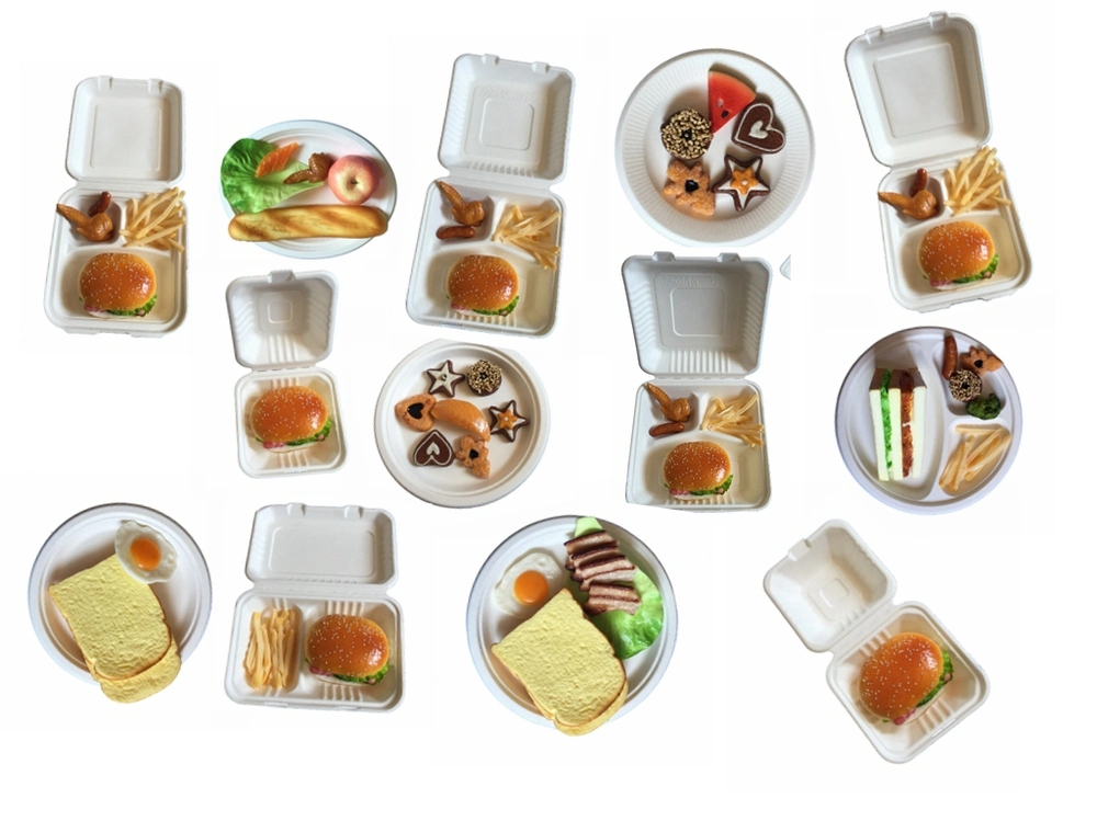 Disposable Sugarcane Lunch Box, Degradable Disposable Lunch Box Tool Disposable Dinner Plate