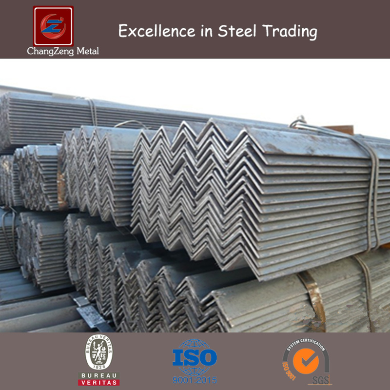 Perforated Carbon Steel Angle Bar (CZ-A30)