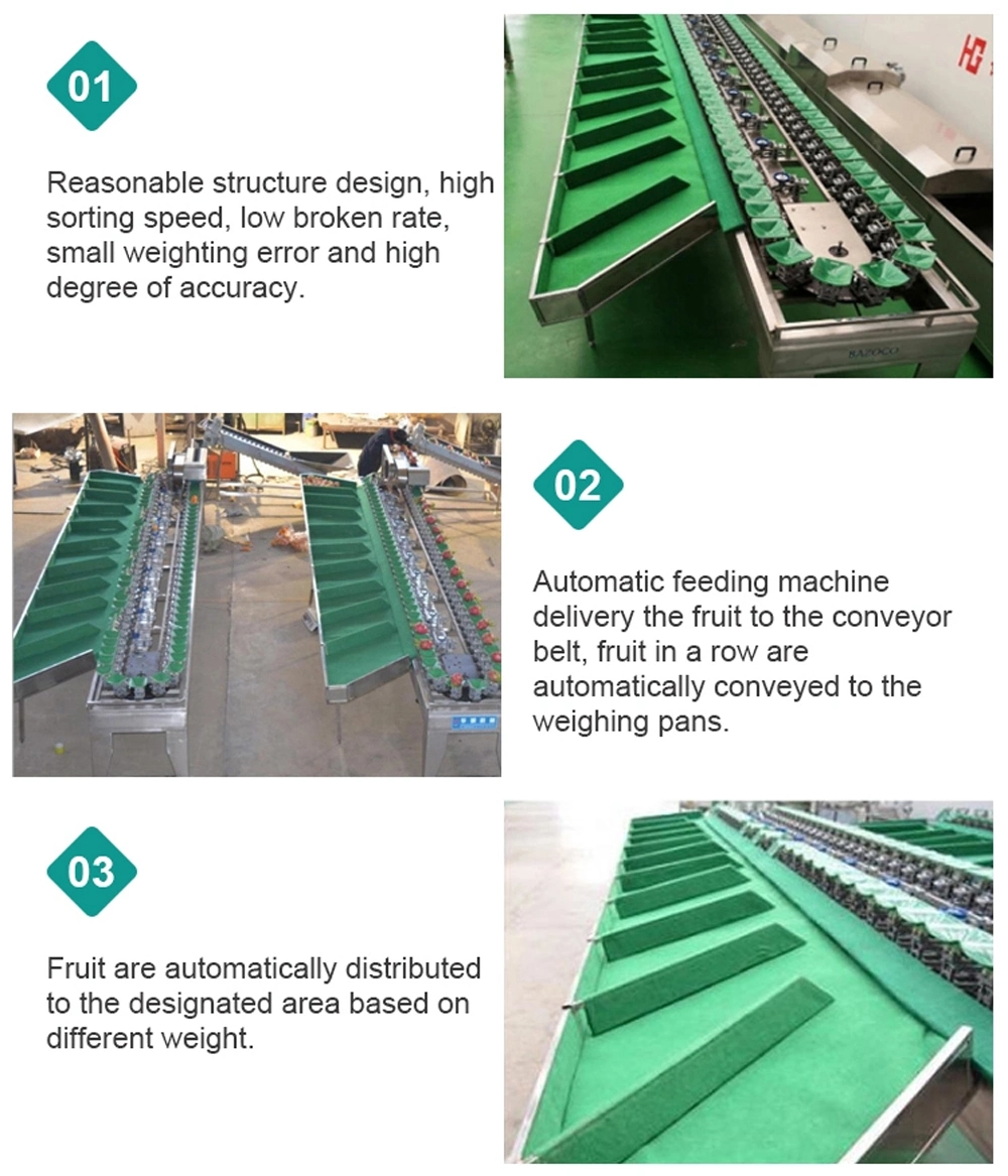 Fruit Vegetable Sorter Machine/Vegetable Sorting Production Line with Waxing