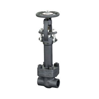 Low Temperature Forged Steel Flanged Globe Valve