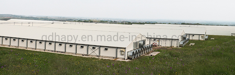 Steel Poultry House and Warehouse Manufacturer
