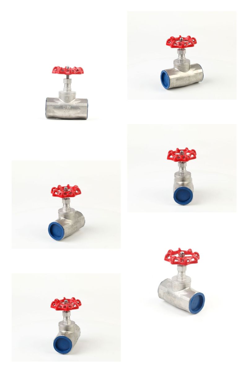 API SS316 Globe Valve Stop Valve in Stainless Steel