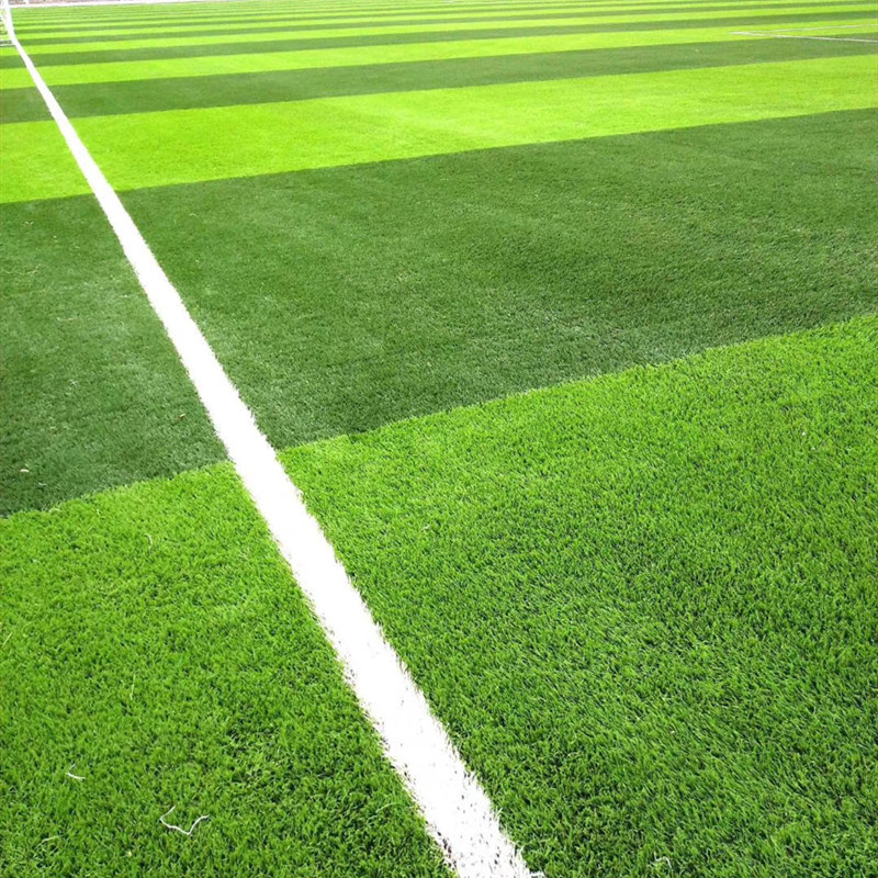 The Football Field Is Free of Artificial Turf