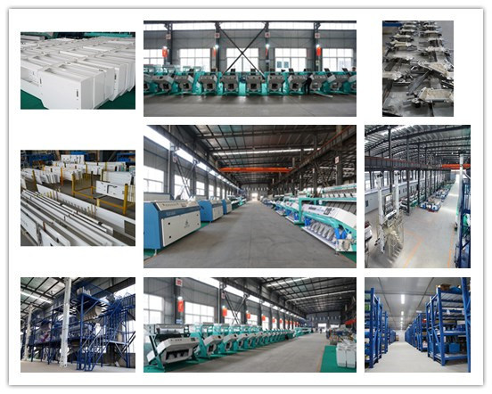 New Design Automatic Green Tea/Black Tea Sorting Machine Tea Color Sorter Machine