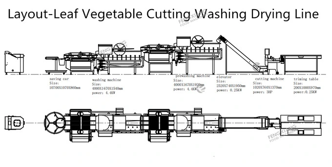 Automatic Cabbage Salad Line Cabbage Washing Line Cabbage Cutting Machine