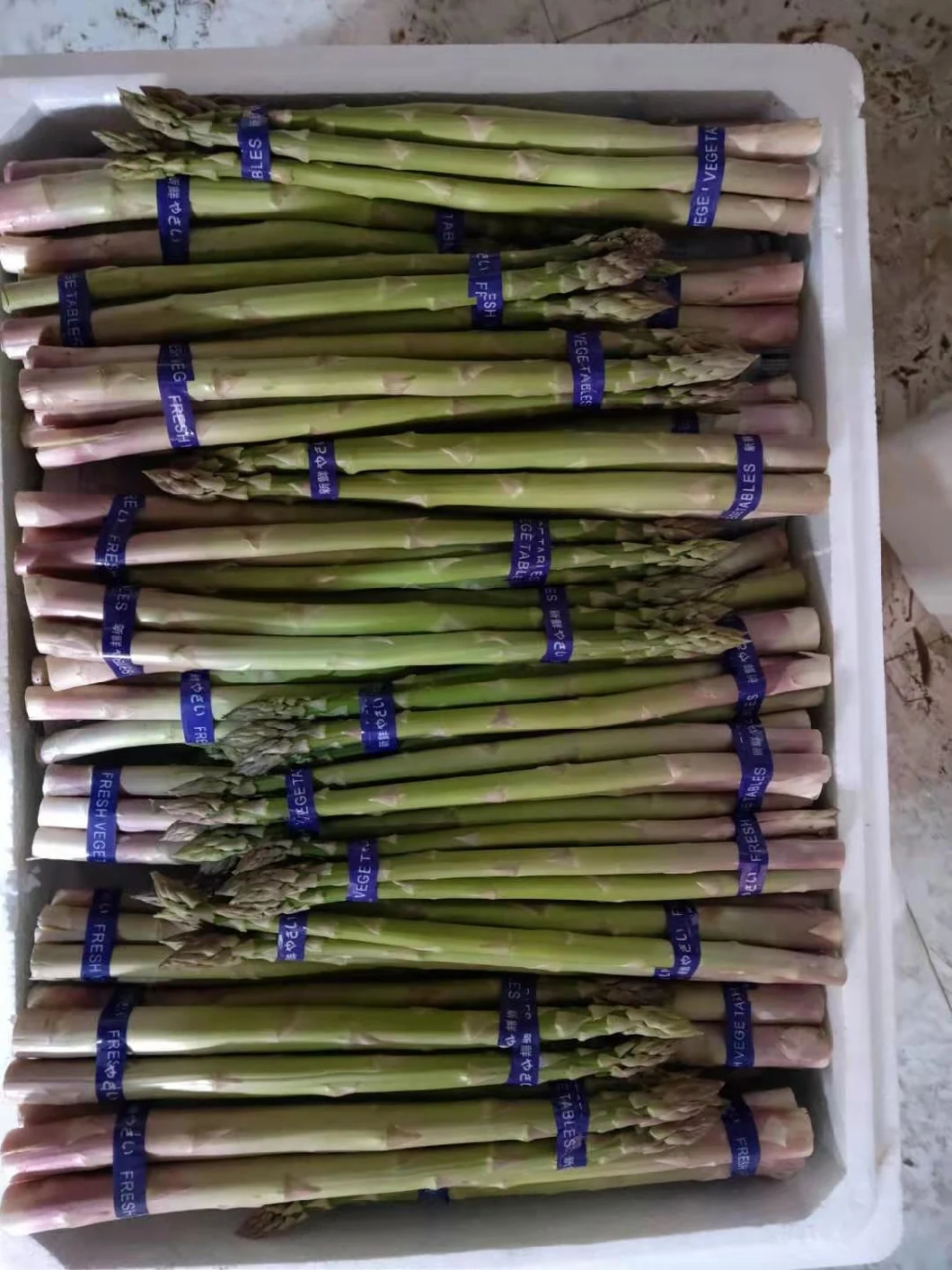 Asparagus Officinalis Beads Green Asparagus Frozen Green Asparagus