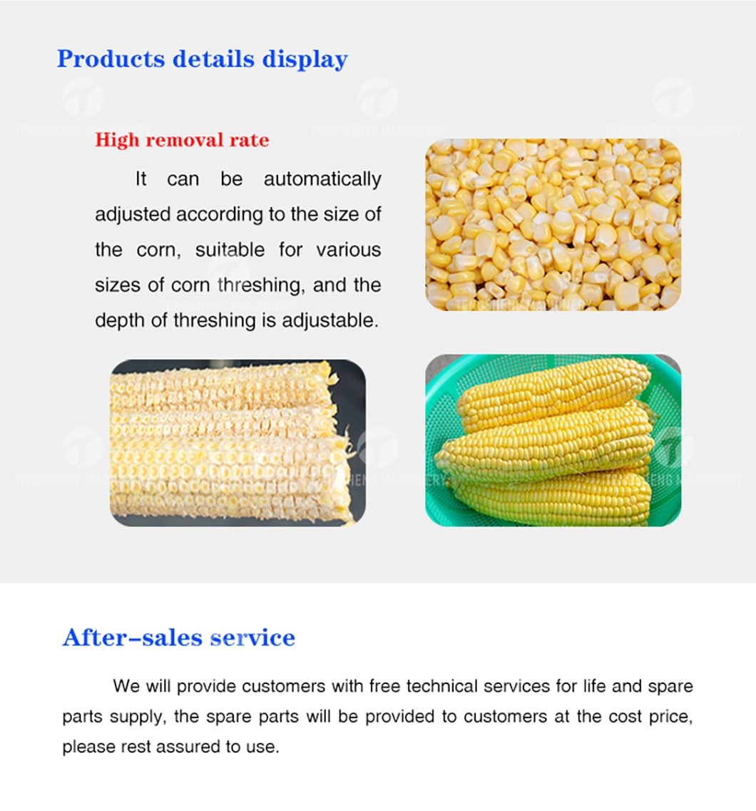 Corn Processing Equipment of Fresh Sweet Corn Threshing Machine Corn Thresher (TS-W168)