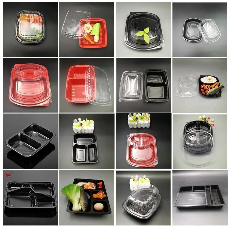 Take Away Clear Microwave Injection PP Plastic Bento Salad Food Disposable Lunch Box with Lid