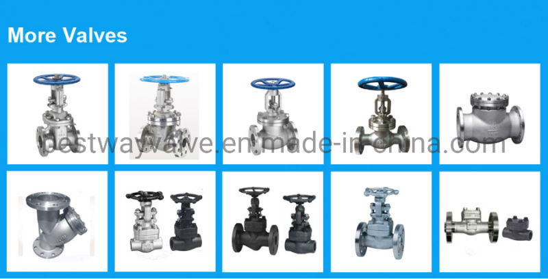 1000wog 304 316 Threaded 1PC Stainless Steel Water Ball Valve