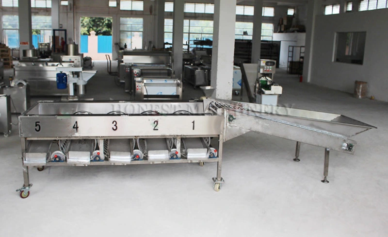 Automatic Vegetable and Fruit Sorting Machine / Electric Fruit and Vegetable Sorter