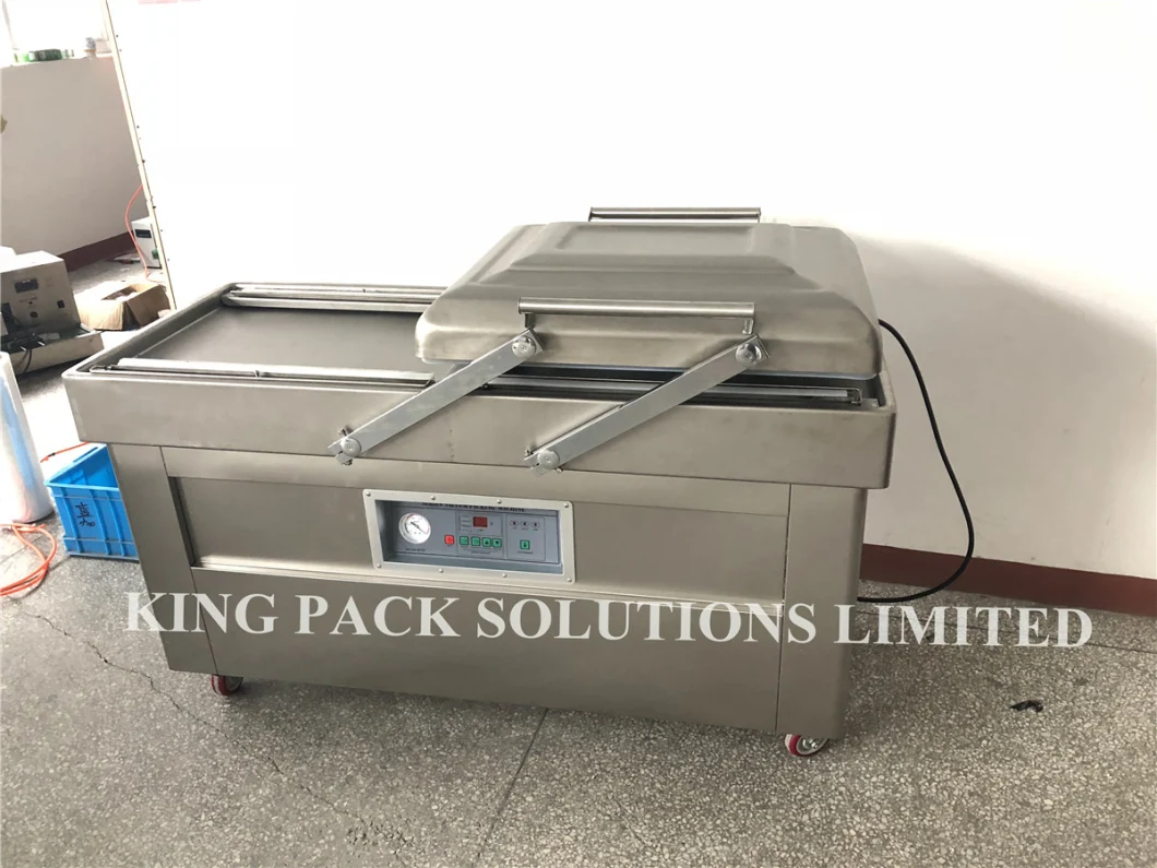 Vacuum Sealer Machine Food Meat Fruit and Vegetable Vacuum Packing Machine