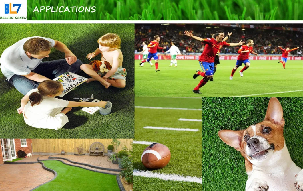 Hot Sale 40mm Natural Looking Landscape Synthetic Artificial Grass (CZ40160)
