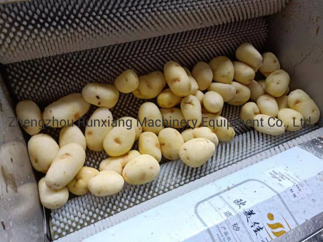 Industrial Fresh Vegetable Fruits Cleaning Drying Processing Dry Dates Washing Machine