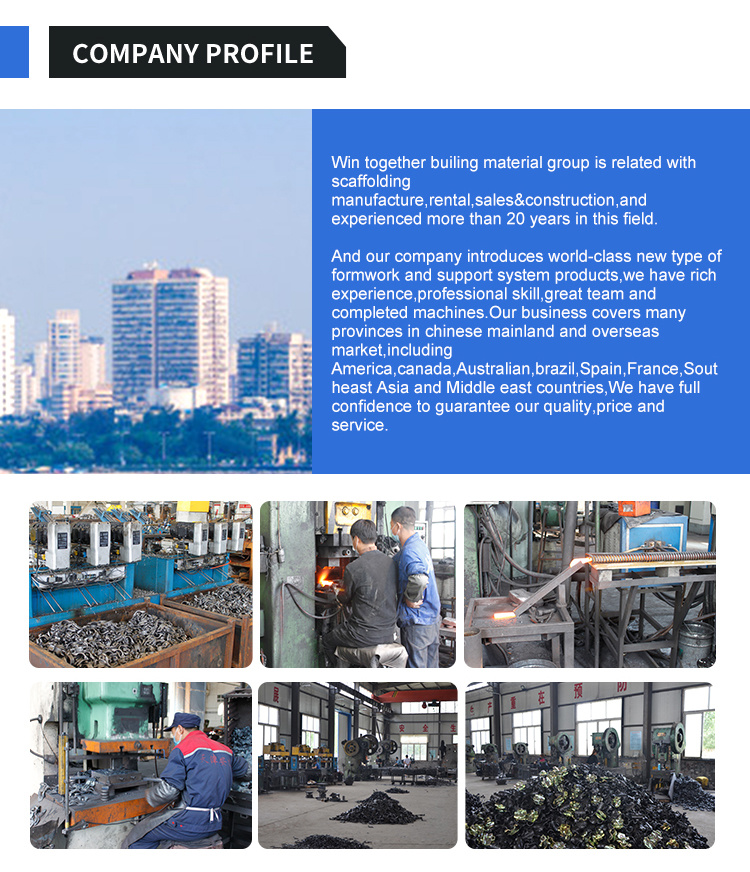 Pressed Swivel Double Coupler Types of Clamps Scaffold