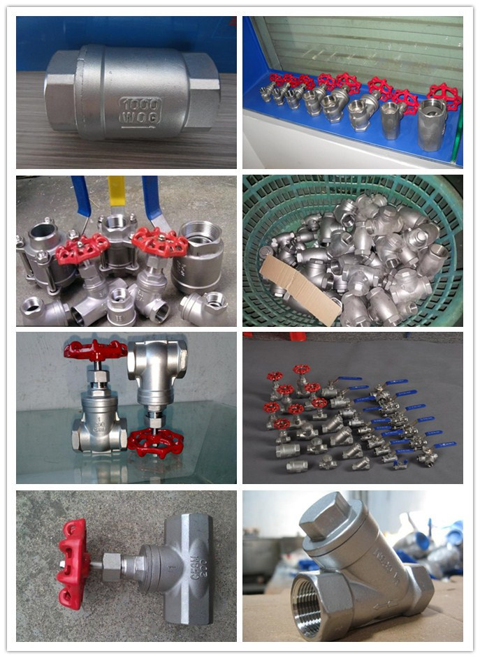 Stainless Steel Female Swing Check Valve with NPT Thread (H14W)