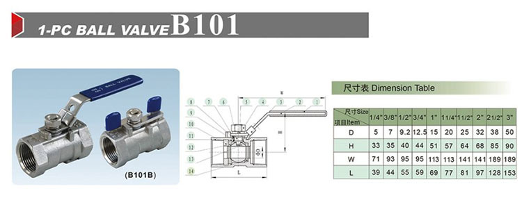 304/316 Stainless Steel Gate Valve with Bsp Thread