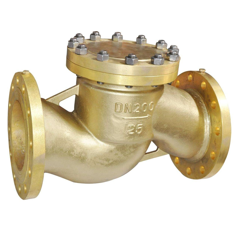 Cast Steel Stainless Steel Valve API Valve 150lb Lift Flange Check Valve