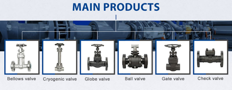 Forged Steel Thread Connection Carbon Steel Globe Valve A105 Manual Globe Valve Uses