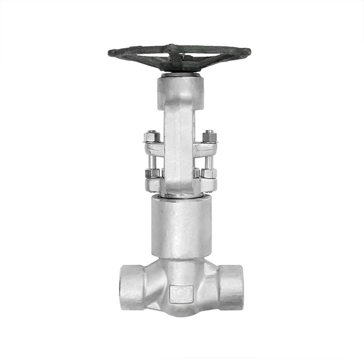 Stainless Steel F316h High Pressure Sealed Contoal Globe Valves2500lb API Standard Full Bore Globe Valve