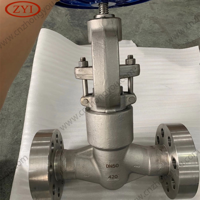 Zyi Forged Steel Double Flange Lf2 Swing Check Valve